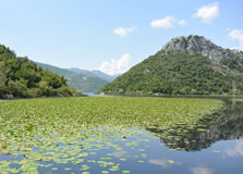Lake Shkodra in Shkoder