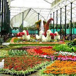 Lalbagh Botanical Garden