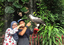Langkawi Wildlife Park in Langkawi