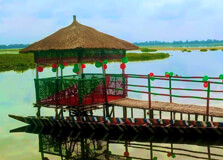 Laokhowa Wildlife Sanctuary in Nagaon