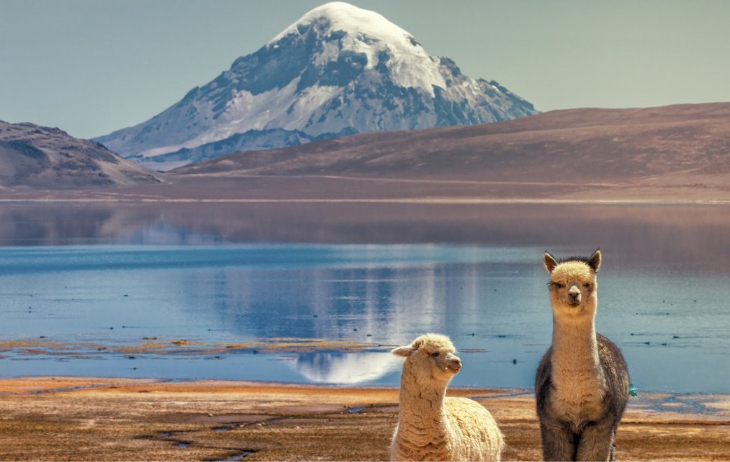 Lauca National Park in Arica