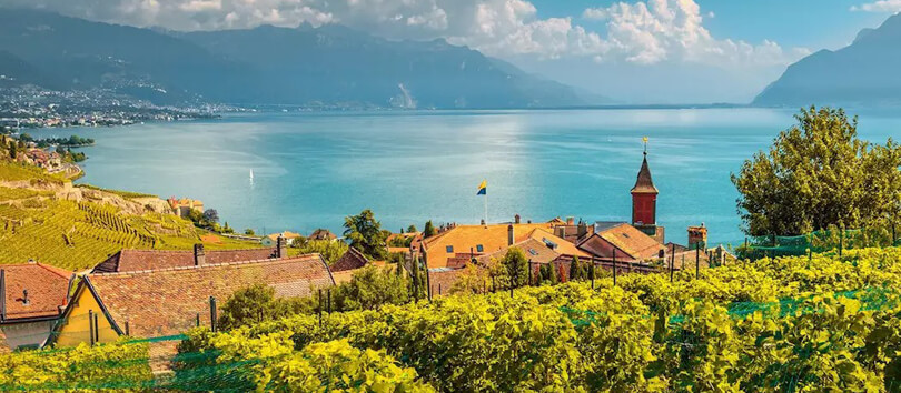 Lavaux Vineyards