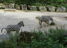 Le Zoo de Lille in Lille