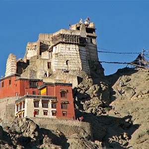 Leh Palace