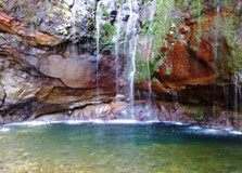 Levada do Risco in Calheta