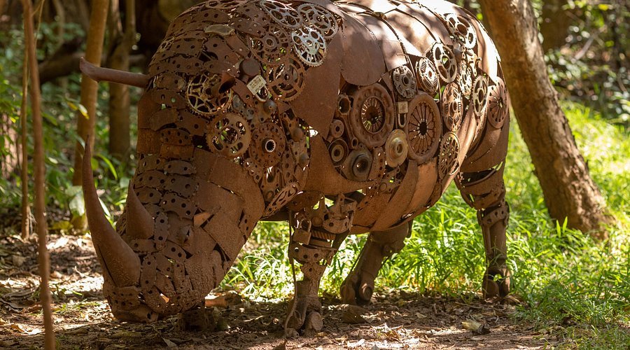 Lilongwe Wildlife Centre, Malawi in Lilongwe