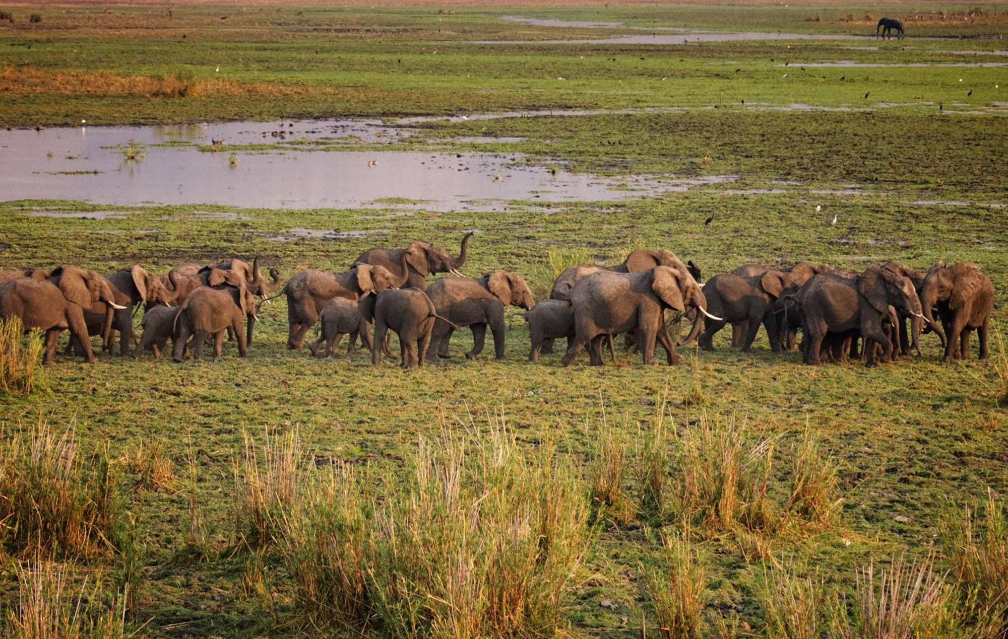 Liwonde National Park in Liwonde