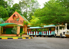Lok Kawi Wildlife Park in Kota Kinabalu