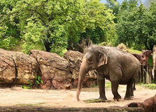 Lombok Wildlife Park in Lombok
