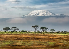 Long Walking Safaris
