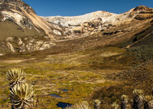Los Nevados National Natural Park in Manizales