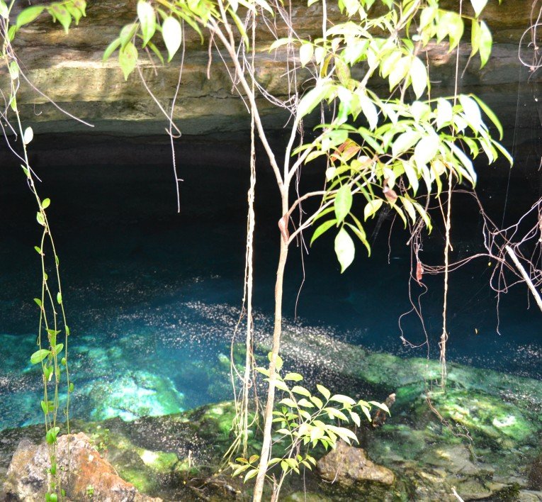Lucayan National Park in Freeport