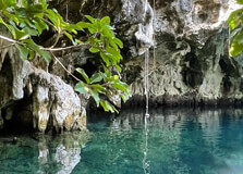 Maalum Cave in Zanzibar