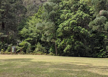 Macquarie Pass National Park in Sydney