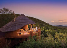Madikwe Game Reserve in Pretoria