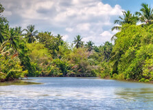 Maha Oya River in Pinnawala