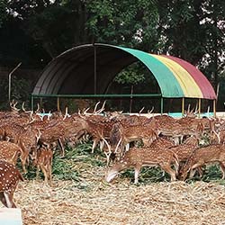 Maitri Bagh-Zoo