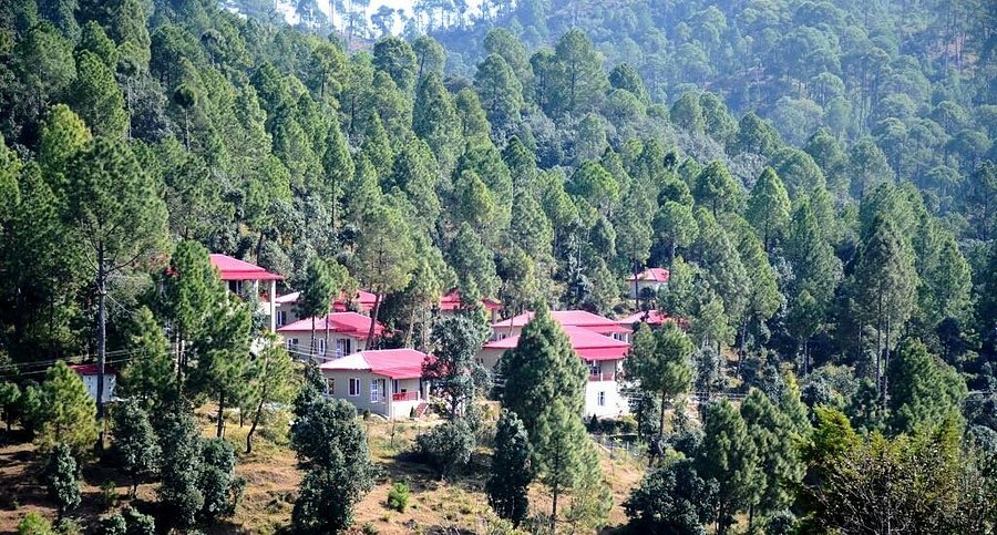 Ranikhet