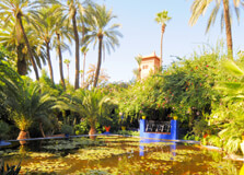 Majorelle Garden in Marrakesh