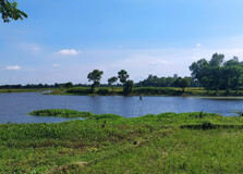 Majuli River Island in Jorhat
