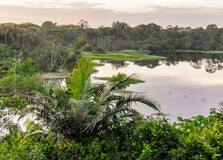 Manaus in Amazonas