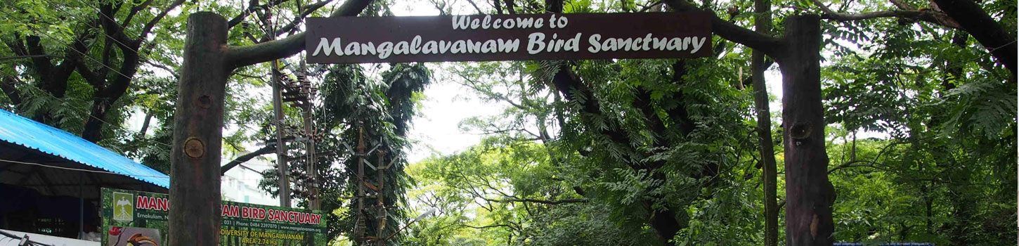 Mangalavanam Bird Sanctuary