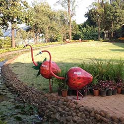 Mapro Garden in Mahabaleshwar