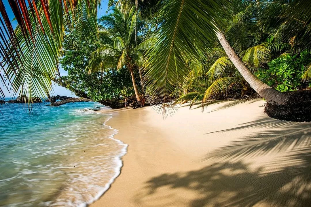 Marari Beach in Alappuzha