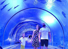 Marine Biology Museum in Hurghada