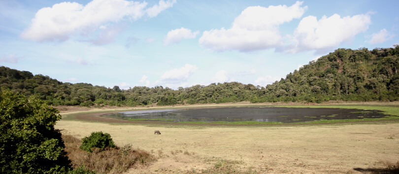 Marsabit National Park