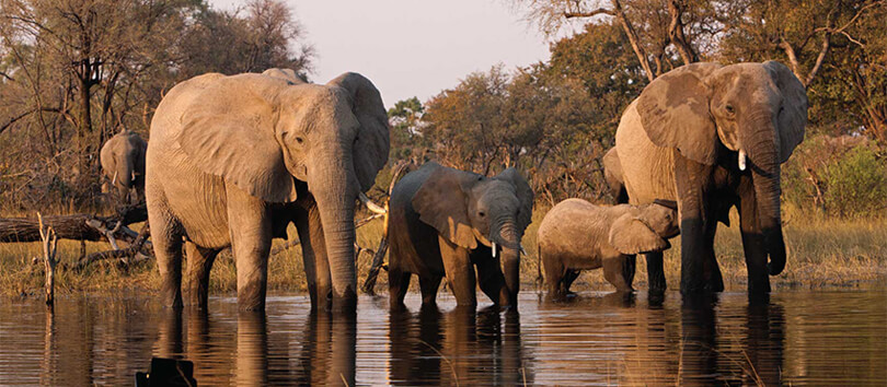 Marsabit National Park