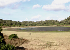 Marsabit National Park