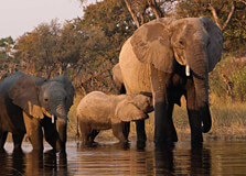 Marsabit National Park in Marsabit
