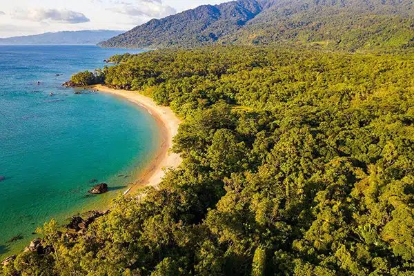 Masoala National Park in Northeast Madagascar
