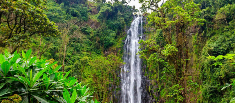Materuni Waterfall