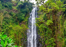 Materuni Waterfall in Arusha