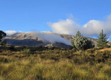 Matroosberg in Western Cape