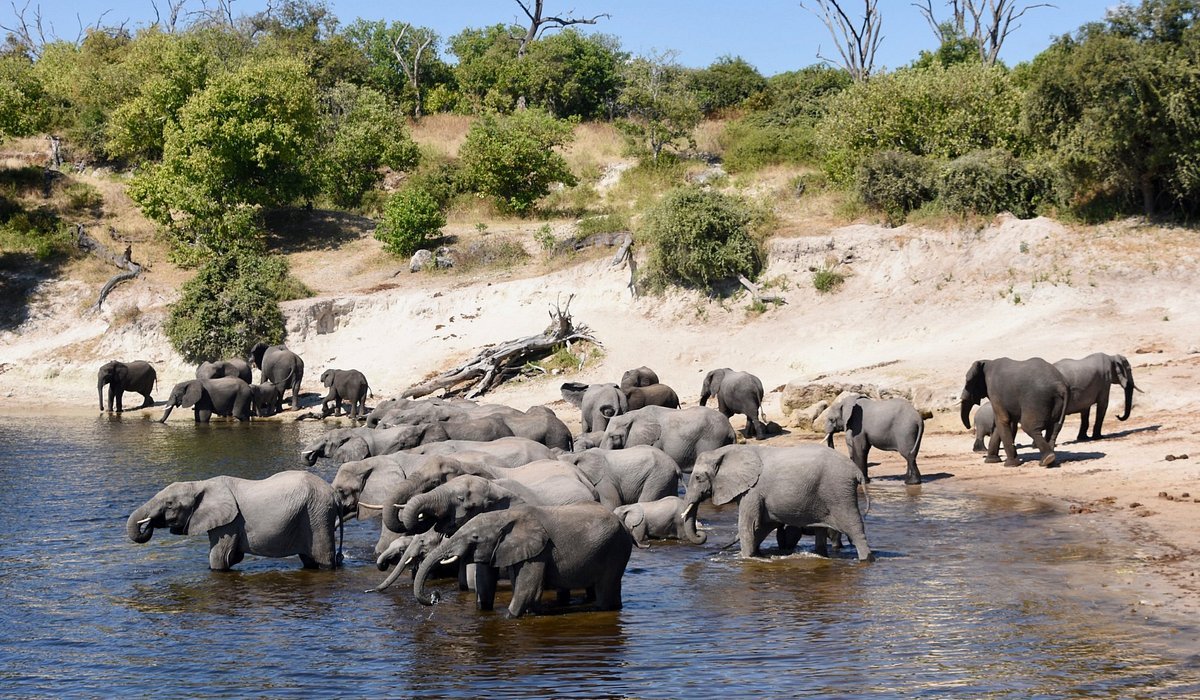 Maun Game Reserve
