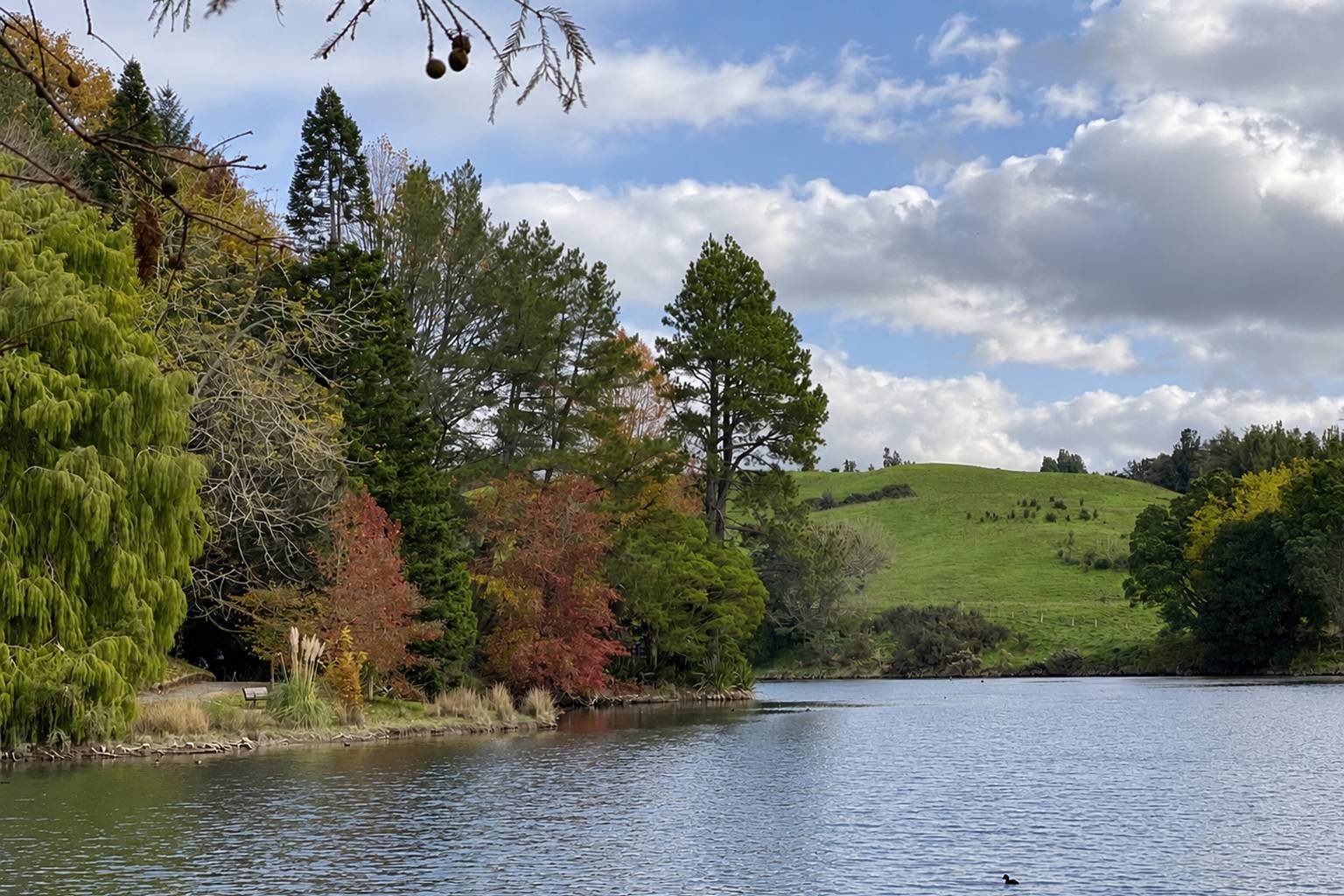 McLaren Falls Park