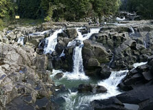 McLaren Falls Park in Bay Of Plenty