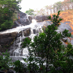 Meenmutty Waterfalls in Trivandrum