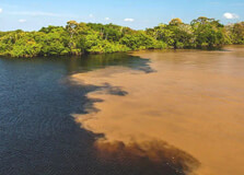 The Meeting of the Waters in Amazonas