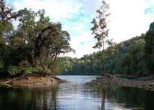 Mehao Wildlife Sanctuary in Dibang