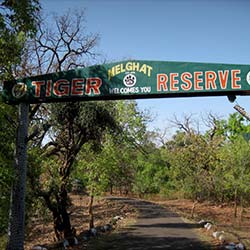 Melghat Tiger Reserve in Amarvati