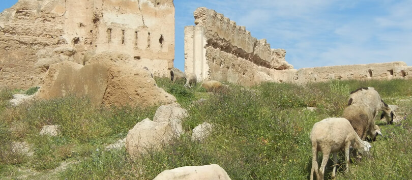 Merenid Tomb