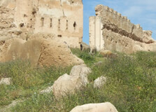 Merenid Tomb in Fes