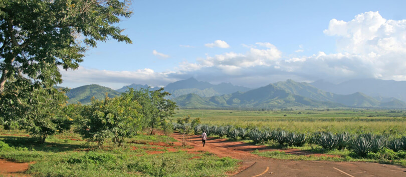 Mgorogoro Nature Reserve