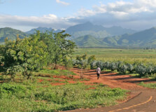 Mgorogoro Nature Reserve in Morogoro