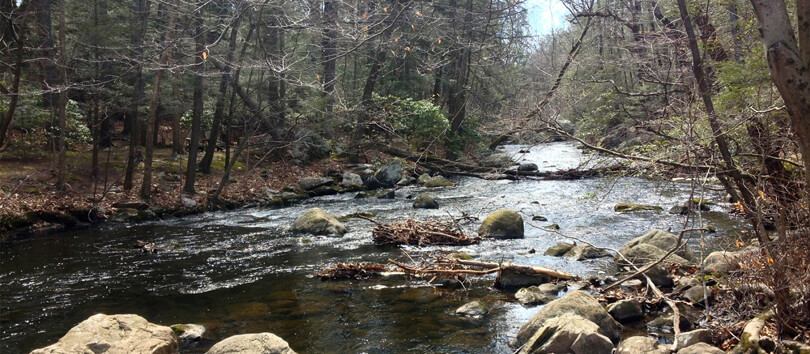 Mianus River Park