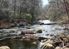 Mianus River Park in Stamford